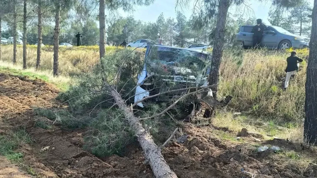 Urfa’da kaza: Ağaçlara çarparak durabildi!