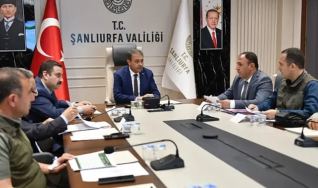 Vali Şıldak yakından takip ediyor! Şanlıurfa’da sokak hayvanlarıyla ilgili süreç ele alındı