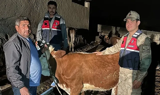 Çözüldü! Şanlıurfa’da jandarma ekiplerini harekete geçiren olay!