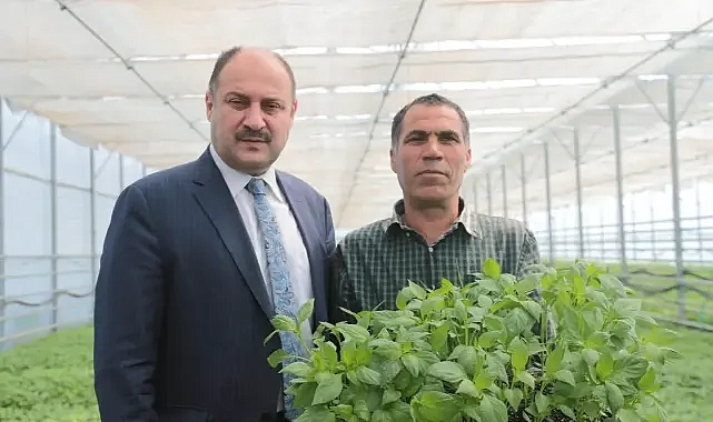 Tarımda çalışmalar devam ediyor! Gülpınar: Türkiye’nin tarım üssü olma yolundayız