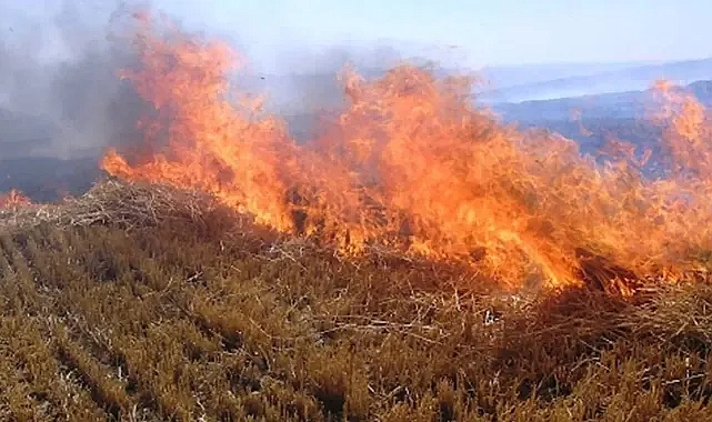 Urfa’da anız yakanlar dikkat! Valilik adli ve idari işlem yapacak!