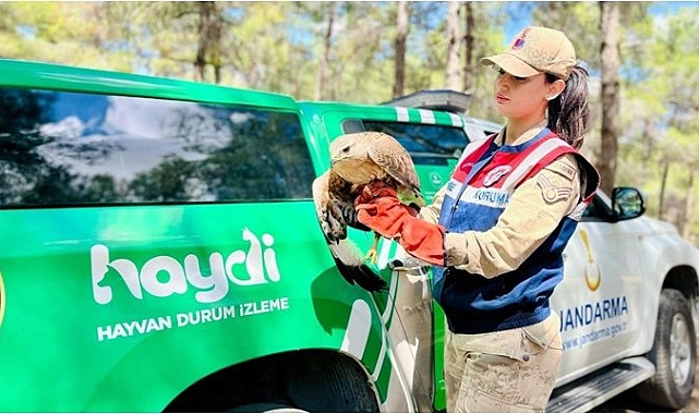 Yaralı Kartal HAYDİ Ekiplerince Kurtarıldı