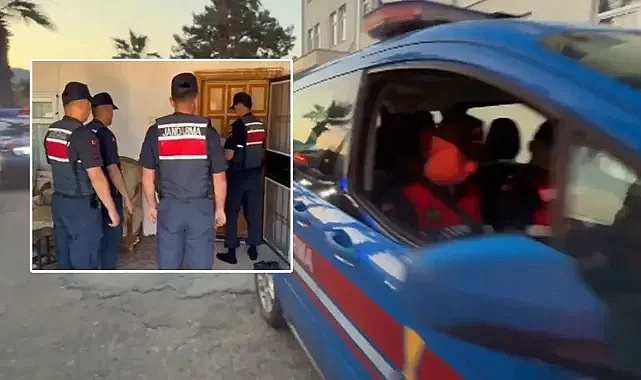 15 ilde nitelikli dolandırıcılık operasyonu! Büyük hesap hareketleri ortaya çıktı!