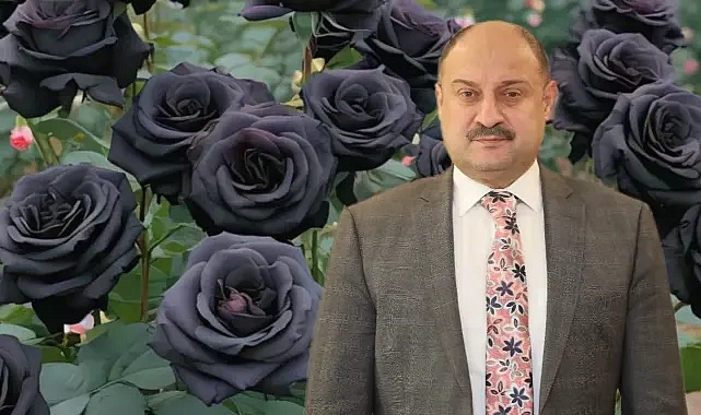 Karagül’ü Paris’te Dünyaya Tanıtacak