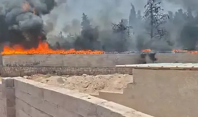 Şanlıurfa’da ahırda yangın! Çok sayıda hayvan telef oldu!