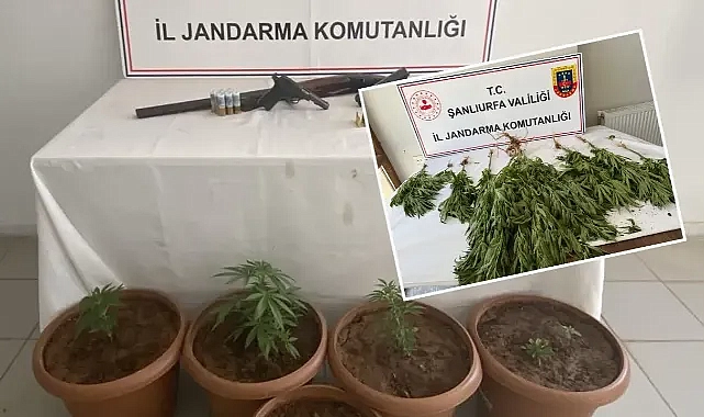 Urfa’da 6 adrese yönelik operasyon! Çok miktarda uyuşturucu ele geçirildi!