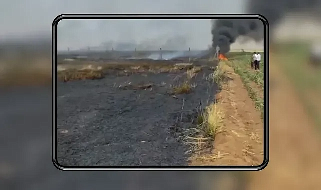 Urfa’da tarla küle döndü!