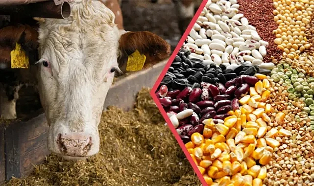 345 milyon ödeme yapılıyor!