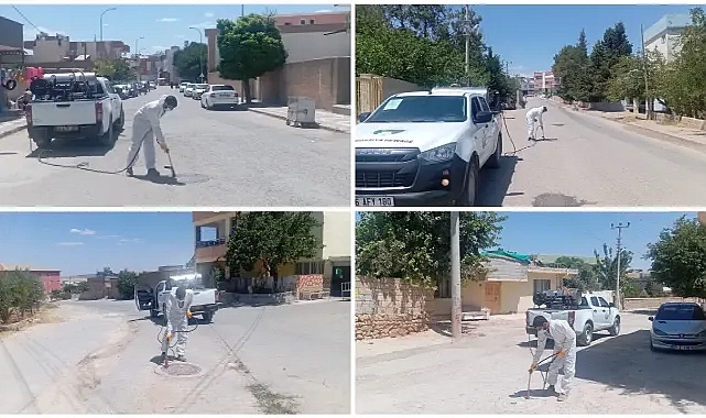 Bozova Belediyesi’nden Haşereye Karşı Etkin Mücadele