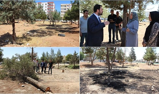 Ceylanpınar’da Yeşil Alan Tahribatına Mahalle Sakinlerinden Tepki