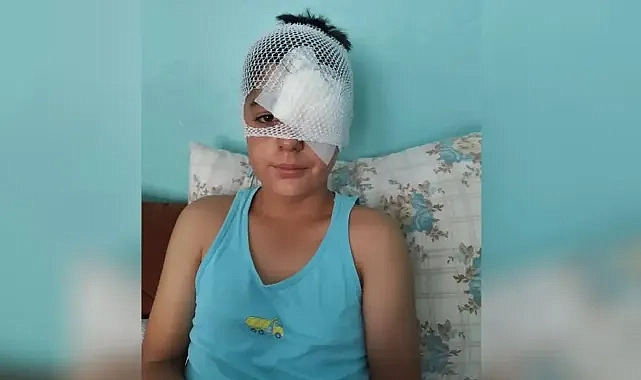 Şanlıurfa’da yine dehşet! Başıboş köpeklerden kaçan çocuğa otomobil çarptı!