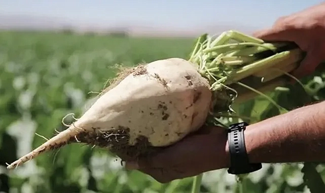 Üreticilere ödemeler yapıldı!