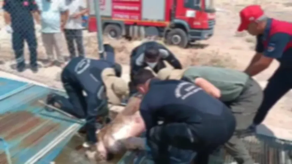 Haliliye’de Sulama Kanalına Düşen Gençten Acı Haber: Cesedi 80 Kilometre Uzakta Bulundu