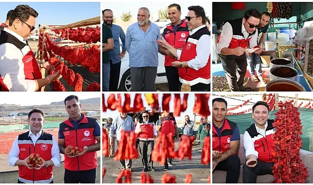 Haliliye’de Urfa İsotu üretim alanı denetlendi