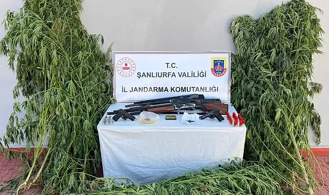 Şanlıurfa’da 6 adrese baskın! Çok miktarda uyuşturucu madde ele geçirildi!