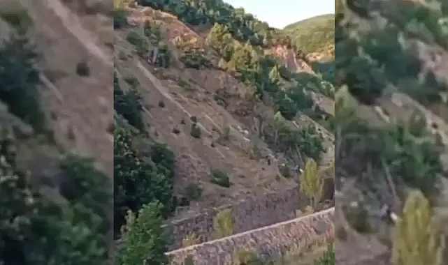 Şanlıurfa’dan Ordu’ya giden fındık işçileri uçuruma yuvarlandı! 3 ölü, 18 yaralı!