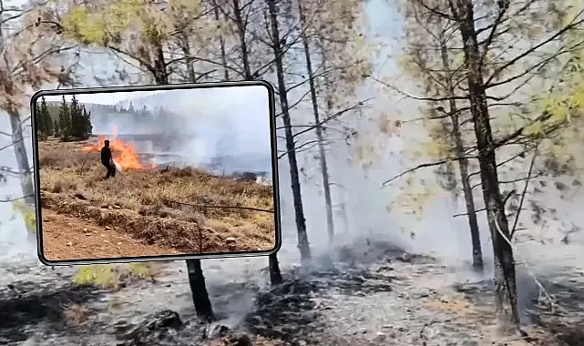 Üniversite yakınlarında korkutan yangın!