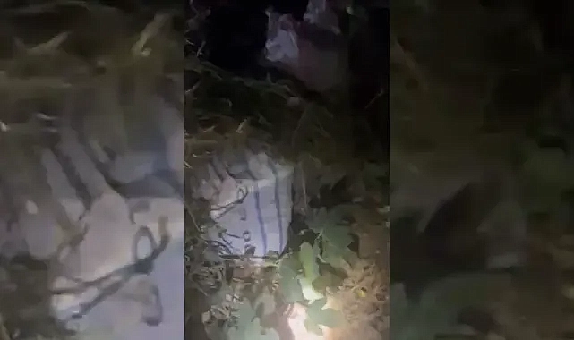 Urfa’da çuval çuval çalmışlar!