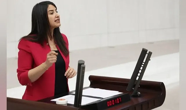 Birecik’in Dertleri Meclis Gündeminde