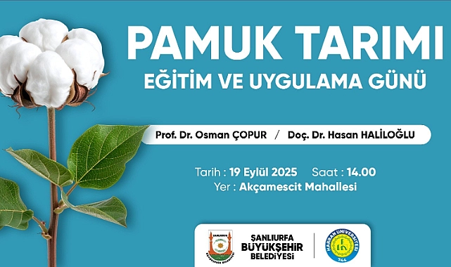 Büyükşehir’den Pamuk Çiftçilerine Eğitim Ve Uygulama Günü
