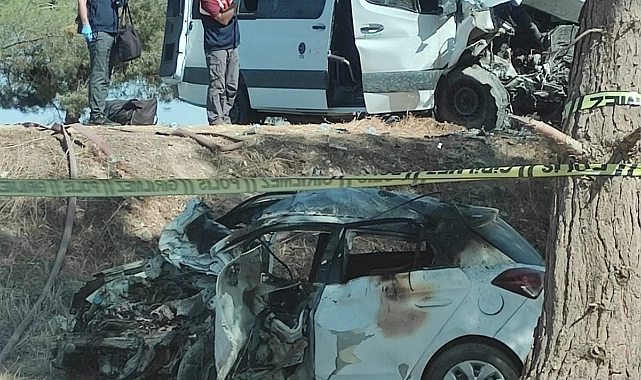 Ceylanpınar-Viranşehir Yolunda Trafik Kazası (Güncellendi)