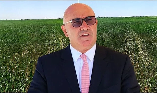 CHP’li Mahmut Tanal: “Şanlıurfa’da Domuz İstilası Var, Çiftçi Mısır Ekemez Hale Geldi”