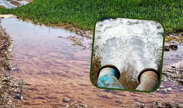 Güneydoğu’da su ve enerji kaynakları alarm veriyor!