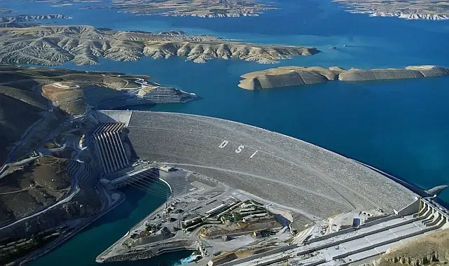 Şanlıurfa’da bulunuyor! Gövde hacmi bakımından Türkiye birincisi!