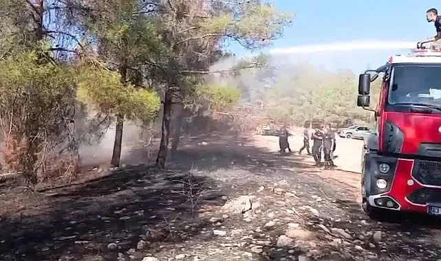 Urfa’da korku dolu anlar!