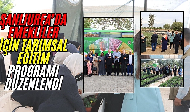 Büyükşehir, Emeklilere Hem Eğitim Verdi Hem Moral Sağladı