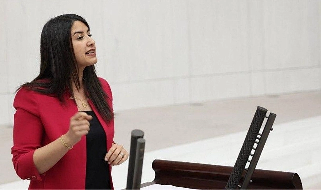 DEM Parti’li Ayan, Siverek’teki Hayvancılık Sorunlarını Meclis Gündemine Taşıdı
