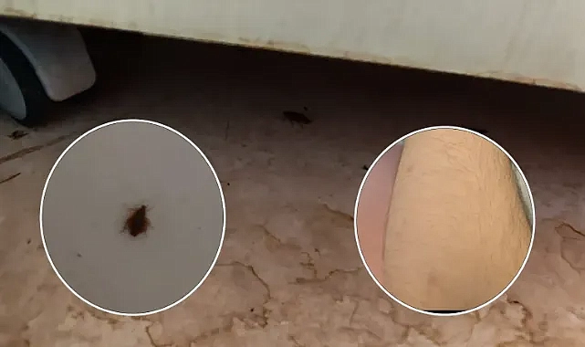 Şanlıurfa’da skandal! Hastanede haşereler görüldü!