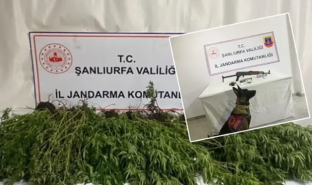 Şanlıurfa’nın 4 ilçesinde operasyon! Silah ve uyuşturucu ele geçirildi!