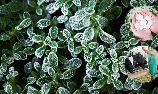 Üretici hasar tazminatında yeni gelişme!