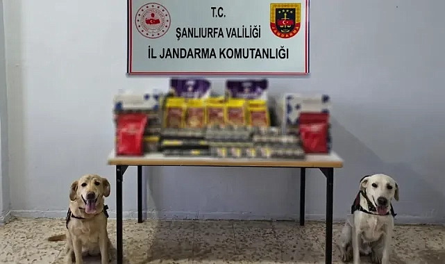 Urfa’da sigara, çay ve tütün ele geçirildi!