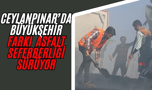 Ceylanpınar’da Büyükşehir Farkı: Asfalt Atağı Devam Ediyor