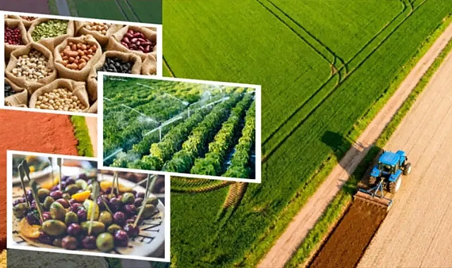 Milyonlarca liralık ödemeler başladı!