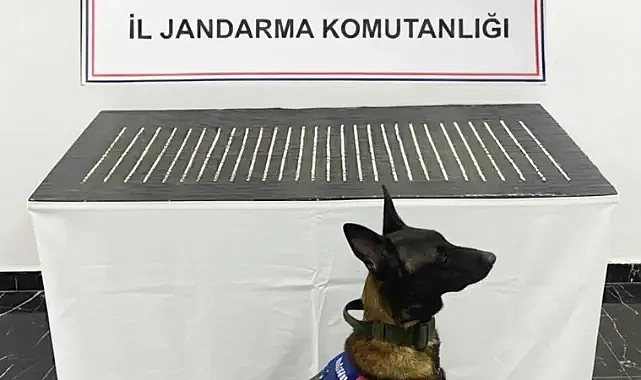 Şanlıurfa’da bir operasyon daha! 4 şahıs yakalandı!