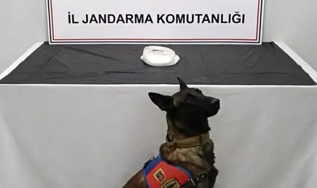 Şanlıurfa’da uyuşturucu baskını!