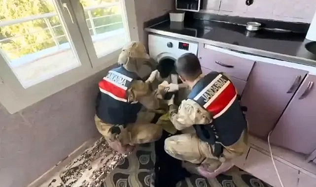 Urfa’da bulaşık makinesinin içinden silah çıktı!