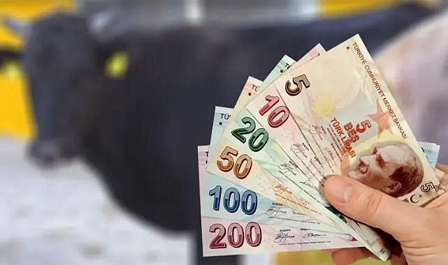 Büyük destek! Milyarlarca lira aktarıldı!