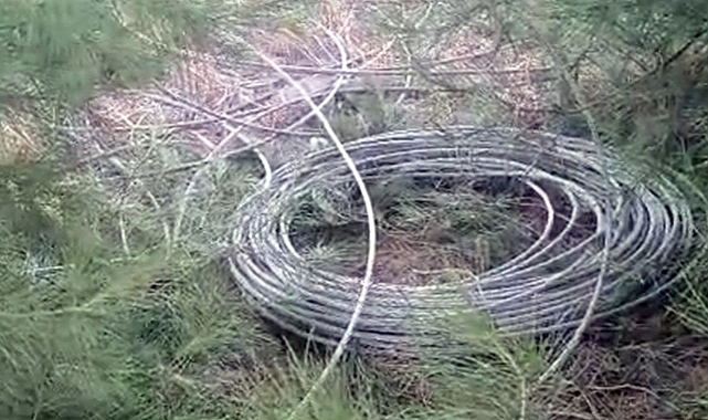 Şanlıurfa’da Direk Hırsızları Bölgeyi Elektriksiz Bıraktı