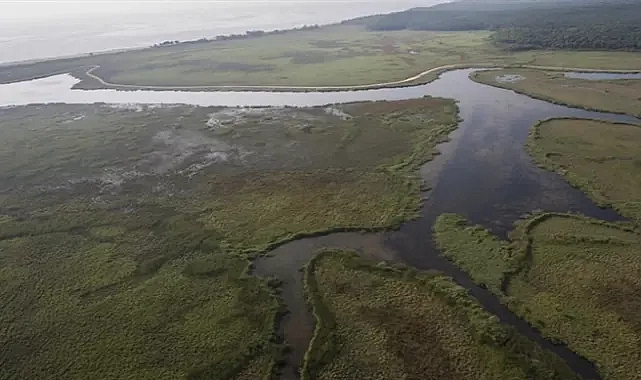 1,2 milyon hektar alan için açıklama!