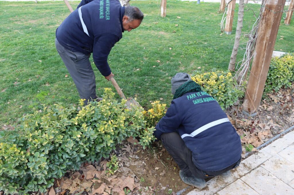 BÜYÜKŞEHİR, AĞAÇ VE BİTKİ DİKİMLERİNİ HIZLANDIRDI