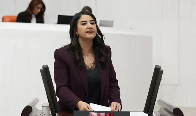 “Koruma Kararına Rağmen Öldürülen Kadınlar” Meclis Gündeminde