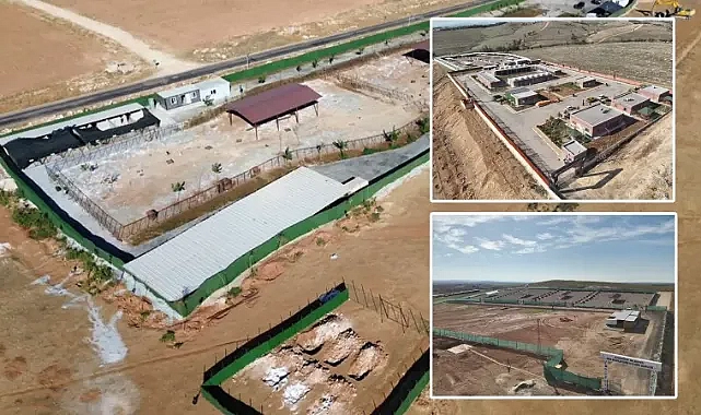 Şanlıurfa Valisi Şıldak: Hedefimize ulaştık!