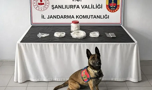 Urfa’da uyuşturucu operasyonu! Hassas burunlu köpekler katıldı!