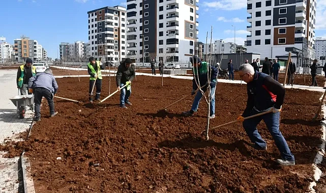 50 dönümlük devasa parkta çalışmalar sürüyor