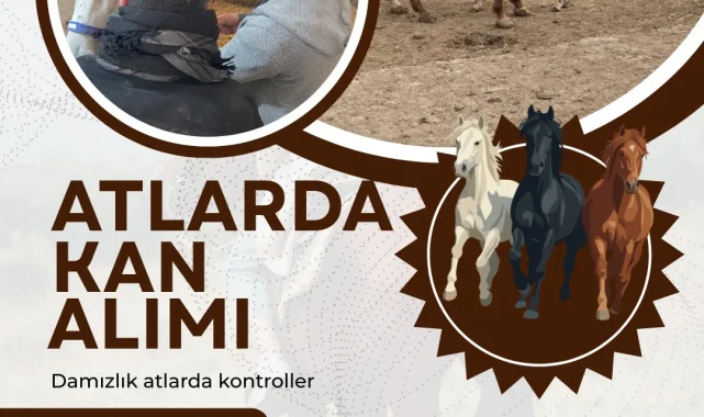 Aligör ve Özlüce Mahallelerinde Kan Alma İşlemleri Gerçekleştiriliyor