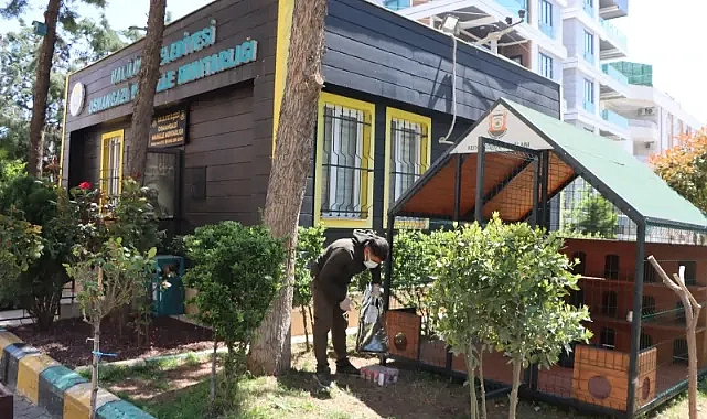 Büyükşehir Belediyesi’nden Sokak Kedileri İçin Örnek Proje